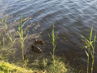 Апартаменты Apartment Telbin Киев Апартаменты-13