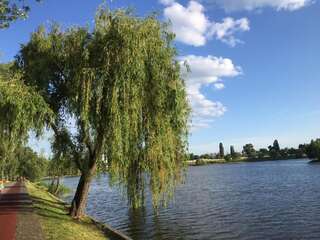 Апартаменты Apartment Telbin Киев Апартаменты-14