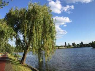 Апартаменты Apartment Telbin Киев Апартаменты-19