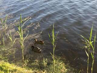 Апартаменты Apartment Telbin Киев Апартаменты-22